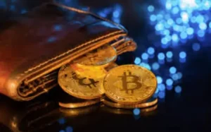 Hot vs Cold Wallets: Understanding the Difference